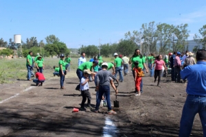 Participaron 300 personas en la jornada de reforestación social.