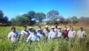 En la Mixteca poblana inician trabajo de inseminación artificial para ganado