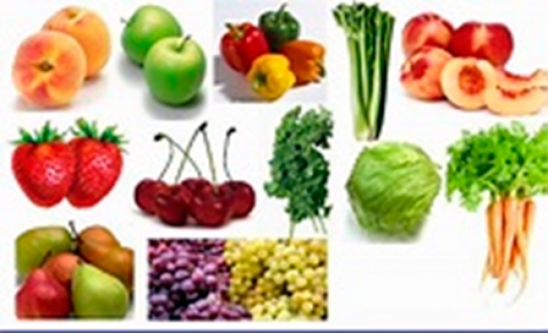 Saludable el consumo de alimentos orgánicos que transforman el estilo de vida. 