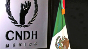 La CNDH  podría cambiar su denominación por Defensoría de los pobres, pide  su presidenta.