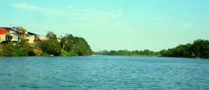 La cuenca hidrológica del río Papaloapan, ha sido privatizada.