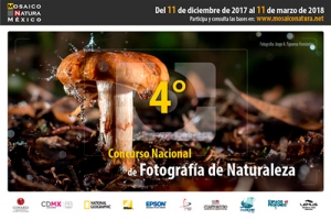 Arranca la convocatoria del “Cuarto Concurso Nacional de Fotografía de Naturaleza”