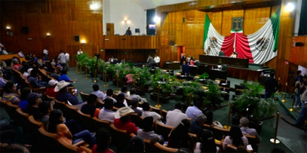 Diversos organismos protestan ante diputados por la Ley de Reforma Interior.