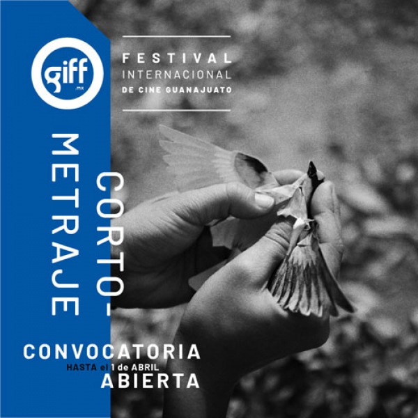 ¿Eres cineasta? Participa con tu filme en la convocatoria GIFF 2022