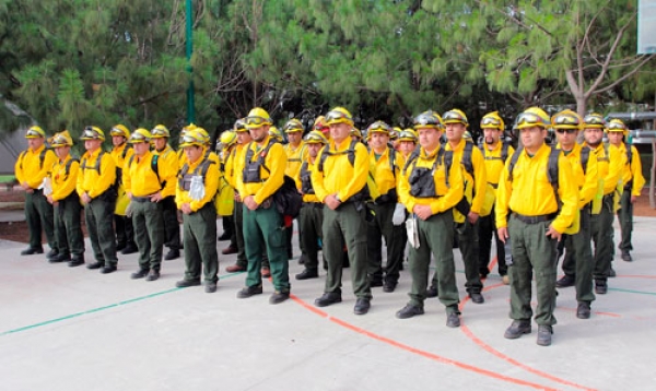 Por segundo  año  consecutivo  México  apoya  a  Canadá  en  el  combate a incendios forestales