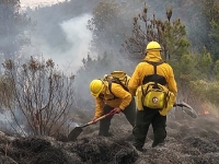 Reporta protección civil estatal cuatro incendios forestales activos