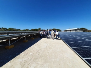 Acuerdan INPI y CFE atender necesidad de energía eléctrica en Oaxaca