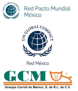 GCM en el Pacto Mundial México