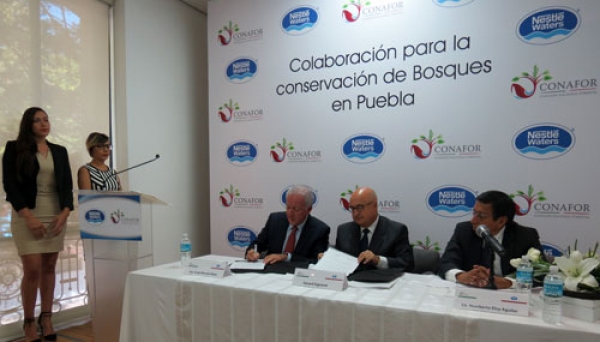 Conservarán 4 mil hectáreas de bosques en Puebla