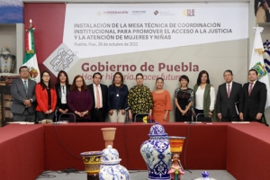 En Puebla disminución de Feminicidios: CONAVIM