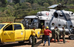 Combatientes atienden 87 incendios forestales activos en el país