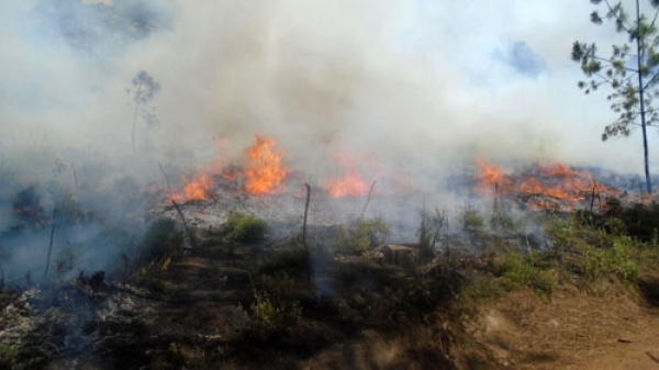 Activos seis incendios forestales en Puebla