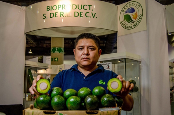 Duplica México superficie de producción de alimentos orgánicos: SAGARPA