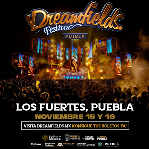 Banner “DREAMFIELDS FESTIVAL”