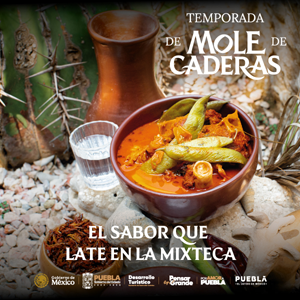 Banner “TEMPORADA DE MOLE DE CADERAS”