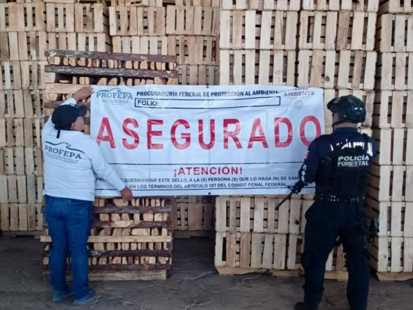 Clausuran aserraderos en Chignahuapan y Aquixtla