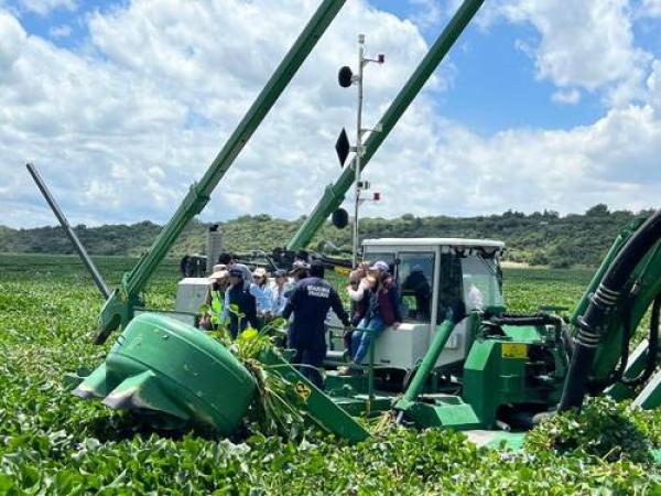 Con tecnología, Puebla retirará lirio en Valsequillo