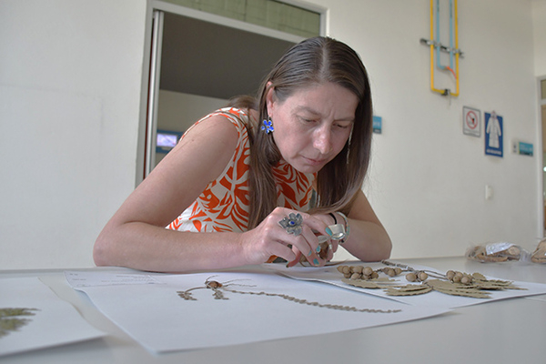 Investigadora BUAP preside Sociedad Botánica de México