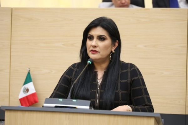 Piden verificar que Cableb&uacute;s cumpla Ley de Arbolado