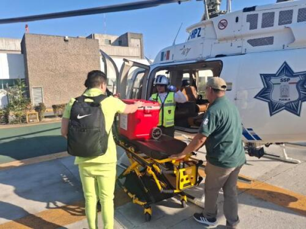 V&iacute;a a&eacute;rea trasladan &oacute;rganos a CDMX