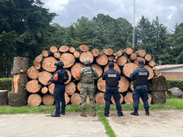 SSP asegura más de 130 piezas de madera