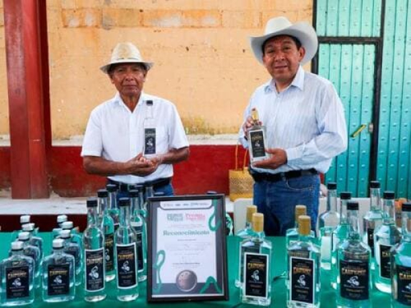 Feria del Mezcal beneficia a productores