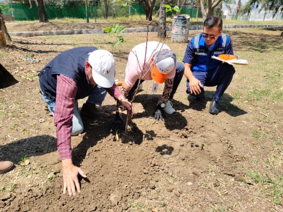 Inician reforestación en zona de la Atlixcáyotl