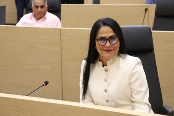 Piden plan de movilidad para 19 municipios