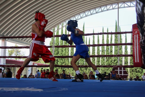 Continúa "Torneo de Barrios de Box 2026"
