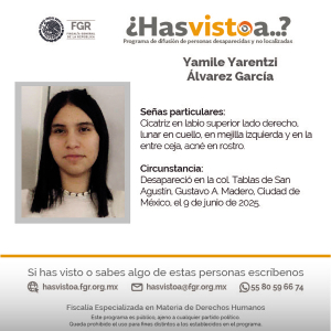 Servicio Social | Programa ¿Has visto a? FGR