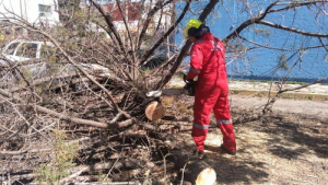 Atiende Protección Civil Municipal reportes en Puebla Capital