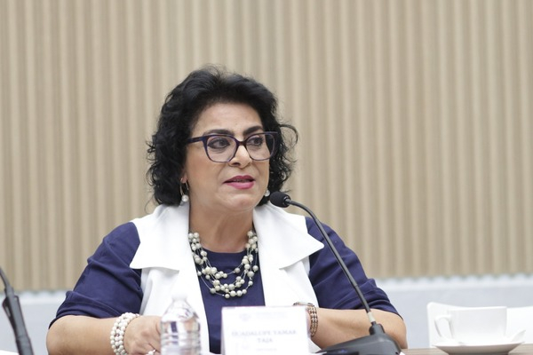 Protección civil en favor de las familias: Yamak