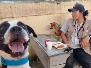 Puebla brinda atención veterinaria en Sierra Norte