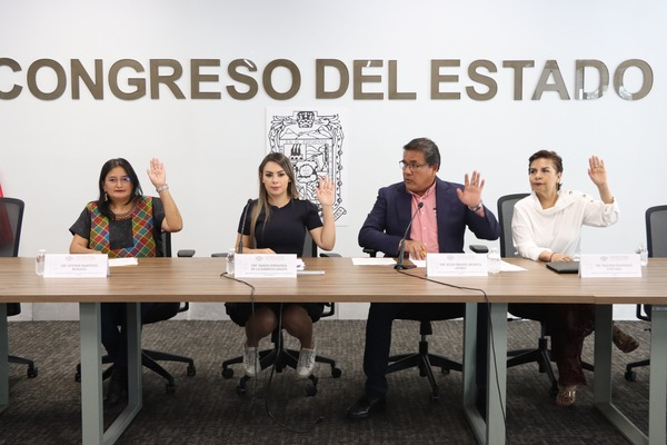 Comisión avala reforma en favor de niñas, niños y adolescentes