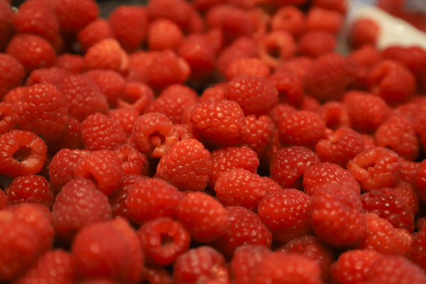 Llega la &quot;Feria de los Berries&quot; a Huejotzingo