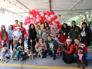 Campa&ntilde;a logra adopci&oacute;n de dos seres sintientes