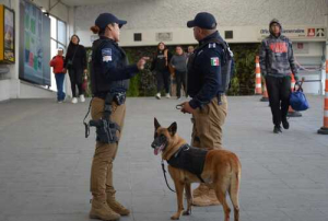 Destaca la Unidad Canina de la SSC en la seguridad