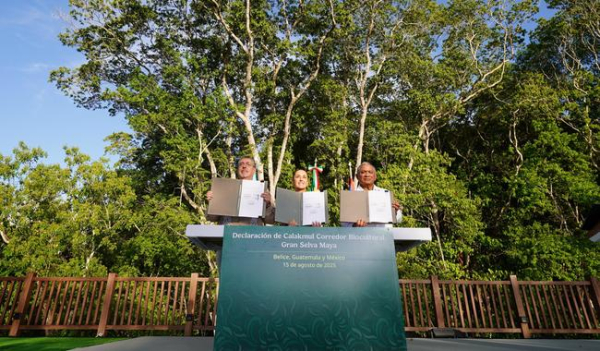 Se crea el &quot;Corredor Biocultural de la Gran Selva Maya&quot;