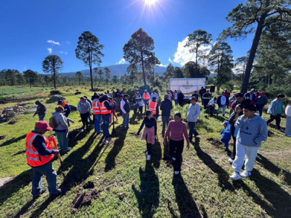 15 mil árboles fueron plantados en el ejido de Tenextepec por Granjas Carroll de México