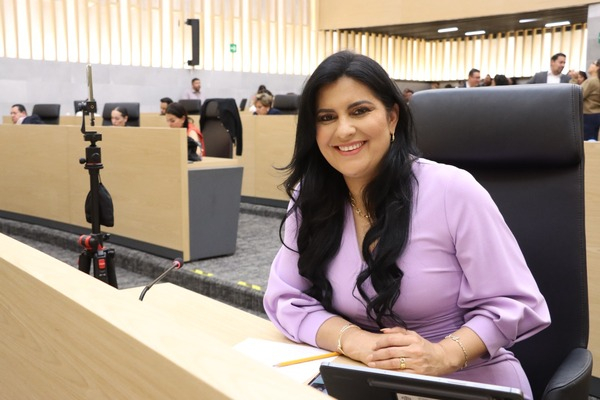 Necesario fortalecer equilibrio democrático: Pozos