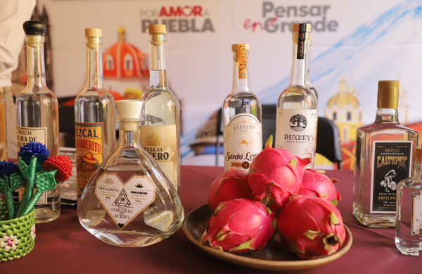 Impulsan Feria del Mezcal Caltepec 2025