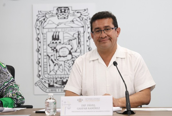 Congreso podría analizar el “Plan B”: Pavel Gaspar