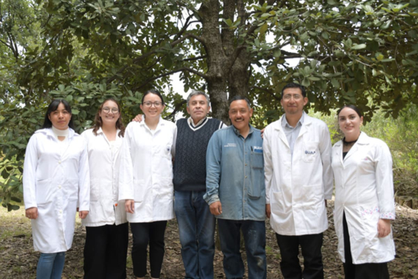 BUAP innova para combatir plagas forestales