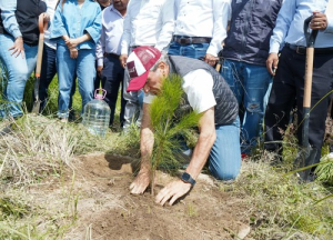 Buscan plantar 100 mil &aacute;rboles en Puebla Capital