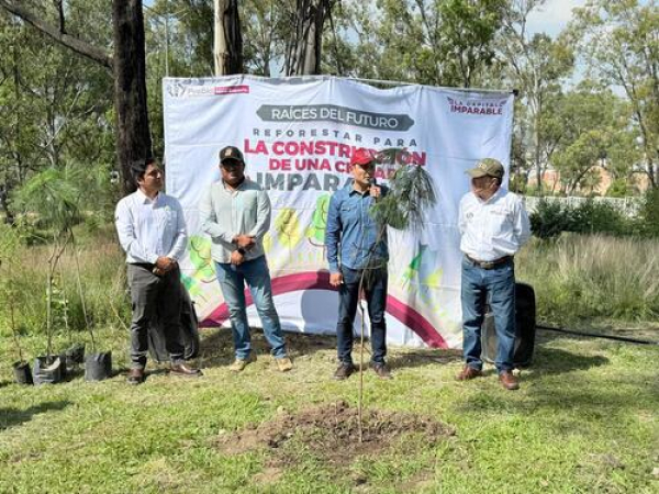 Puebla Capital siembra 520 nuevos árboles