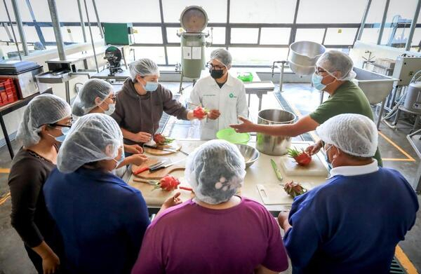 UTTECAM realiza taller agroalimentario sobre pitahaya