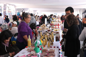 Impulsa a productoras con "Jornada Violeta"