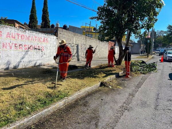 "Naranjitas" fortalecen limpieza en Cúmulo de Virgo