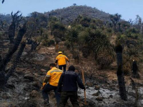 SSP fortalece combate a incendios forestales
