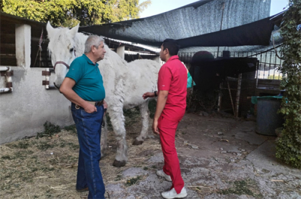 Cero tolerancias a quien maltrate a las mascotas